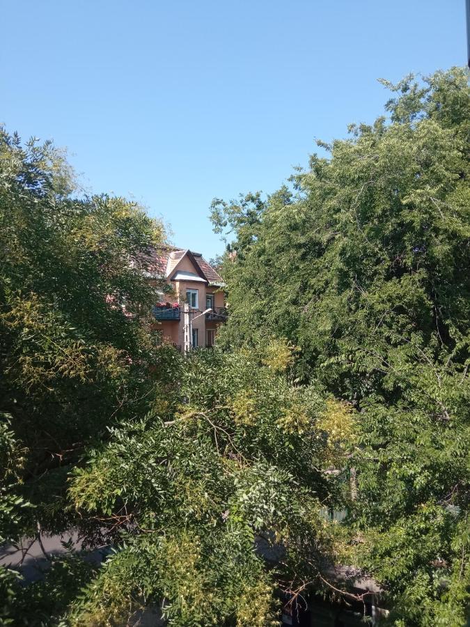 Free Parking, Balcony, Near To City Park Boedapest Buitenkant foto